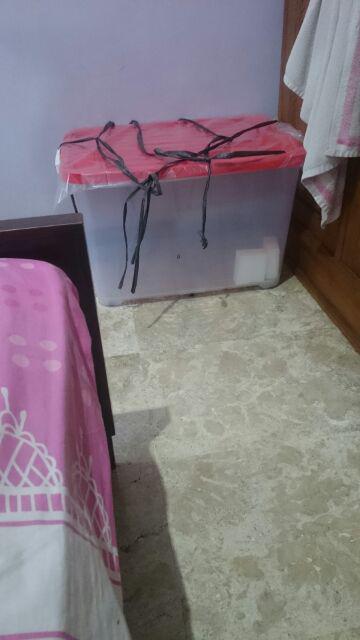 Box Container 135 Liter Transparan