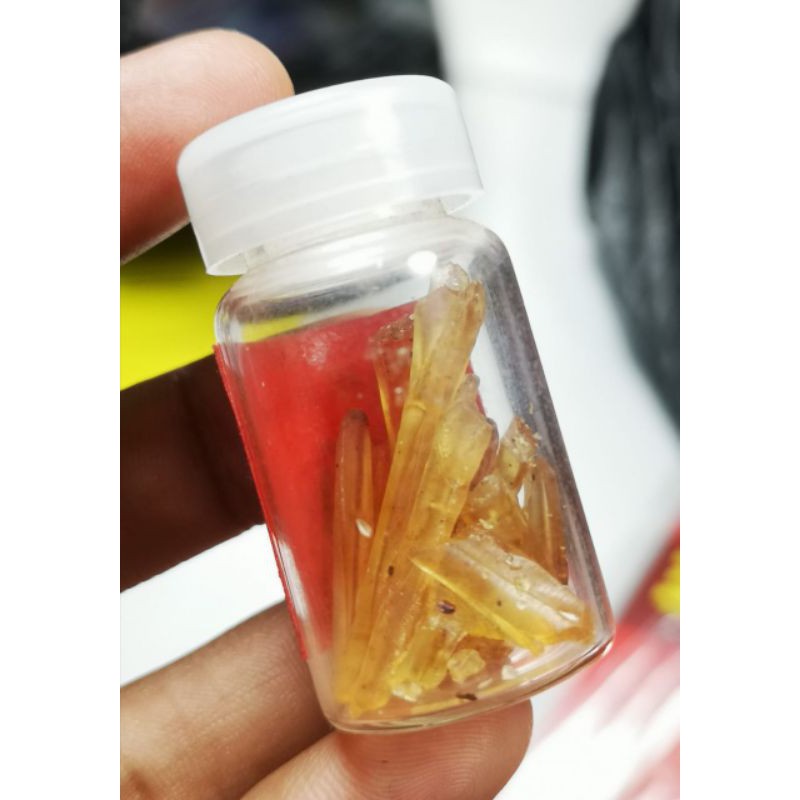 SUPER CRYSTAL MANI GAJAH LAMPUNG