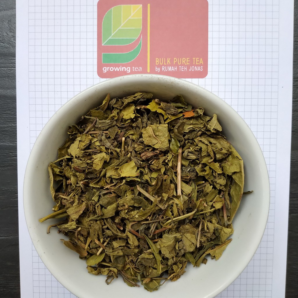 

growing pure tea ASSAMICA ASAMIKA green tea teh hijau murni 100 gr curah bulk