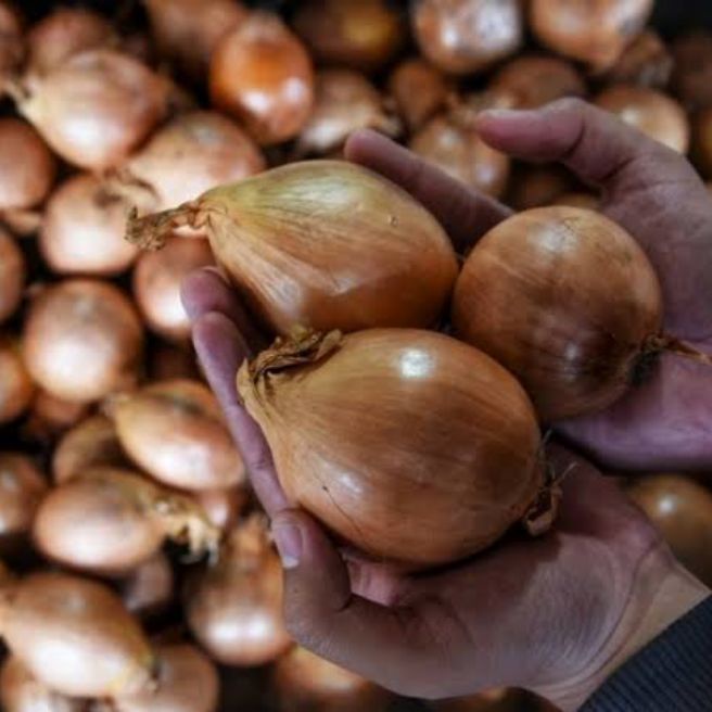 

1Kg BAWANG BOMBAY PILIHAN DARI PETANI