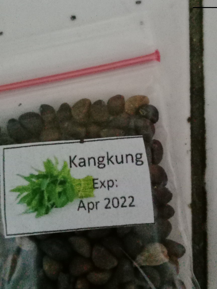 Isi 50 An Biji - Benih Unggul Kangkung Darat