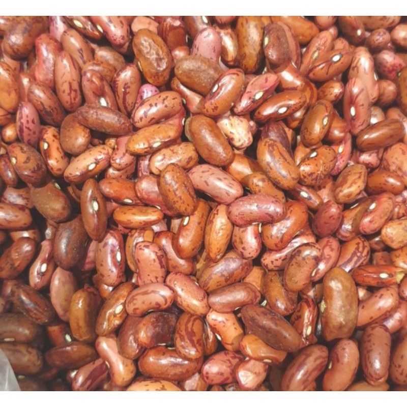 

kacang Merah 500gram