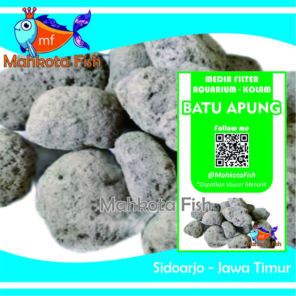 Batu Apung (500 gr) | Batu Gombong | Media Filter Aquarium Aquascape | Media Filter Kolam