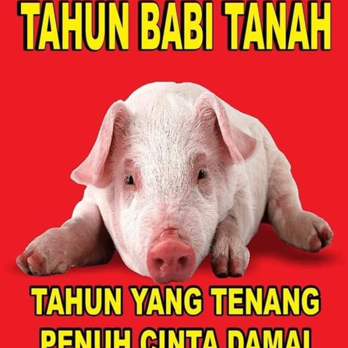 BUKU RAMALAN CAP JIE SHIO TAHUN BABI TANAH 2019 KARYA SUHU ONG BKIL_1638