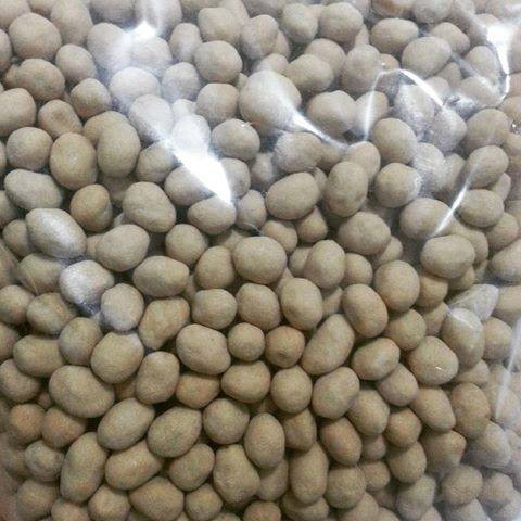 

Kacang Madu