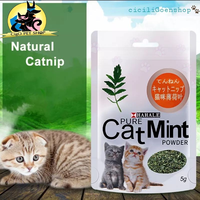 Catnip serbuk katnip import snack natural watatabi untuk kucing