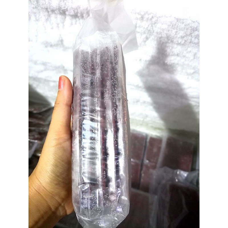 Cacing Darah Beku Tray 1Kg isi 10 Bebas Bakteri