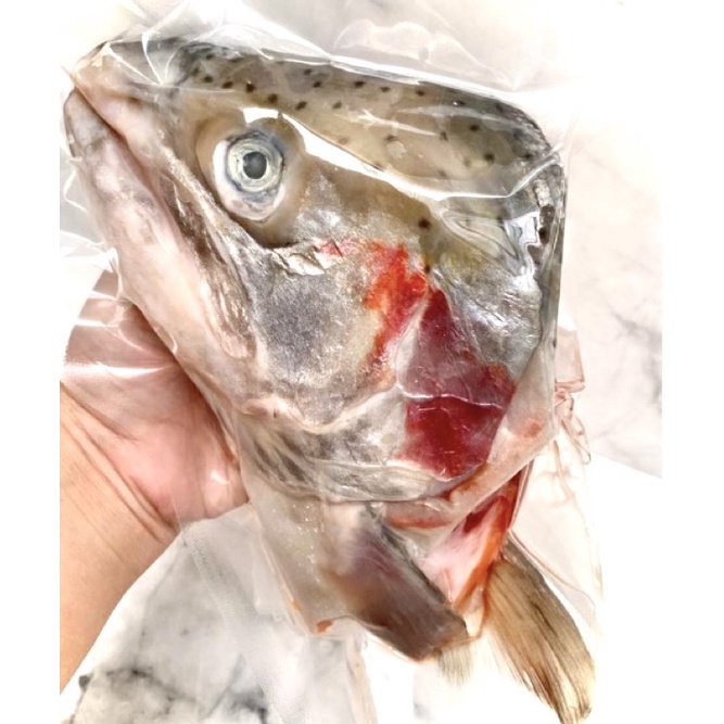 

Fresh Kepala Salmon 1 Ekor