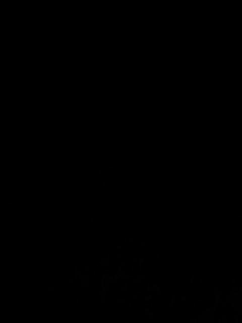 Gembok Pagar Anti Maling Pintu Rumah 40mm Shengli Fili