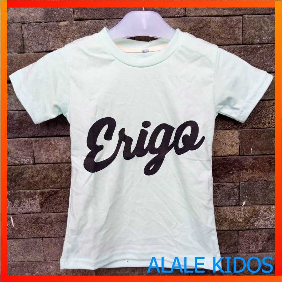 Baju Anak Motif ERIGO Warna Hijau Mint