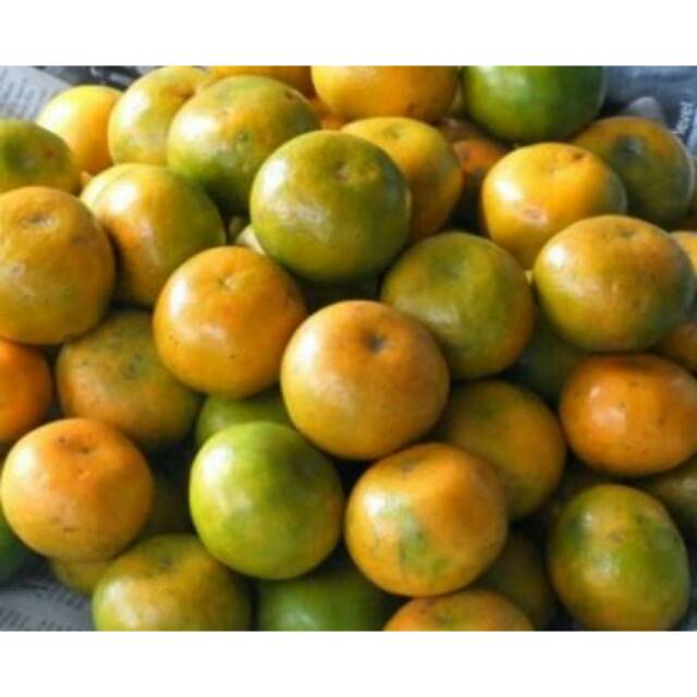 

Buah Jeruk Pontianak 1kg
