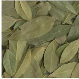 

Dried Bay Leaf 100gram / Daun Bay Turki 100gram
