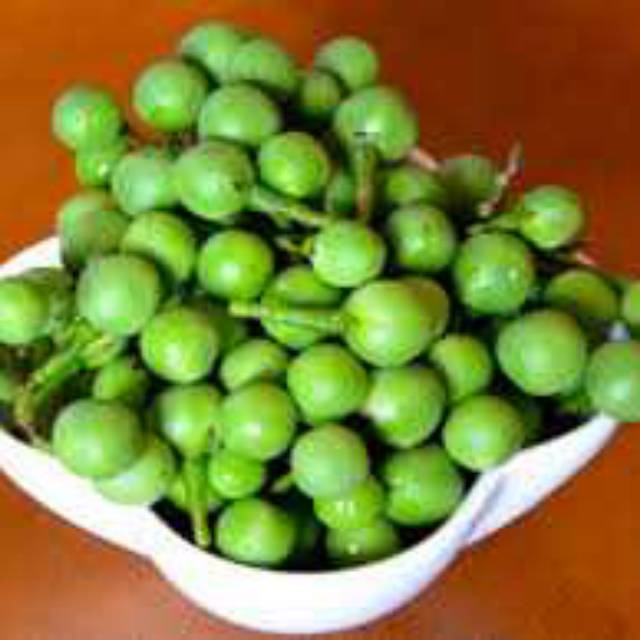 

Buah tekokak takokak 500gram segar
