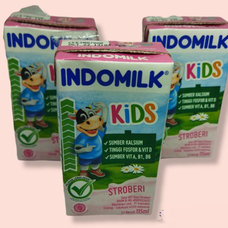 

INDOMILK KIDS SUSU UHT RASA STRAWBERRY 120ML MURAH