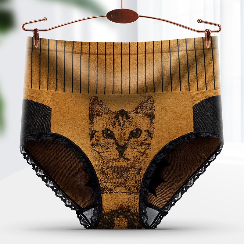 Celana Dalam Wanita Tinggi Renda CD Underwear Panties CAT Style CD40