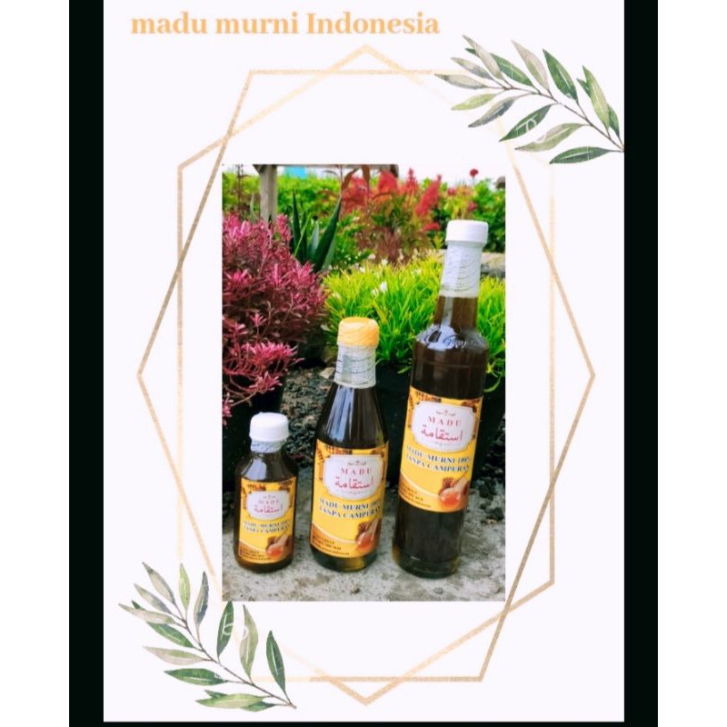 

MADU HITAM MADU LIAR MADU HUTAN ASLI MURNI GARANSI