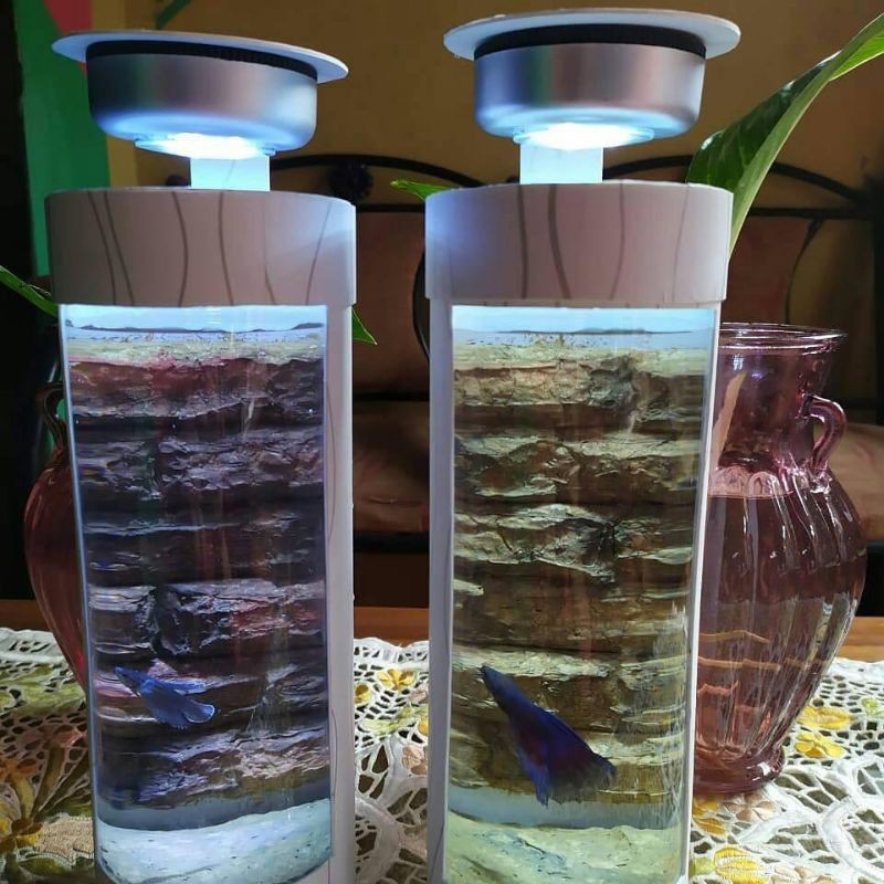 Aquarium cupang/aquarium mini