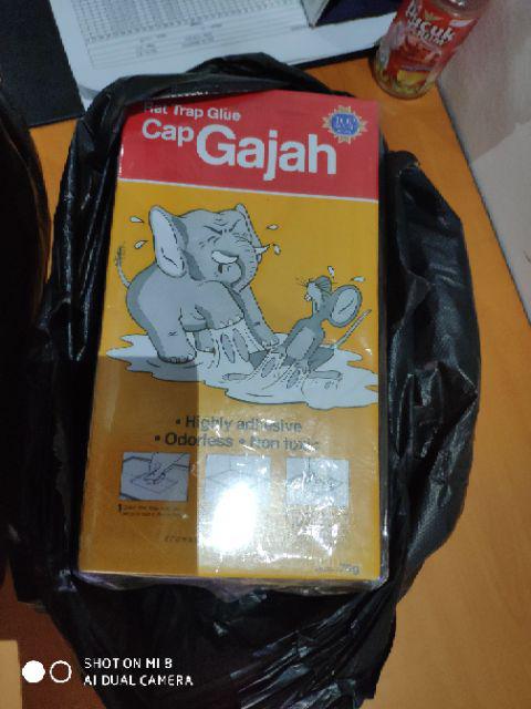 Lem Perangkap Tikus Cap Gajah - Jebakan Tikus - Buku/papan Termurah