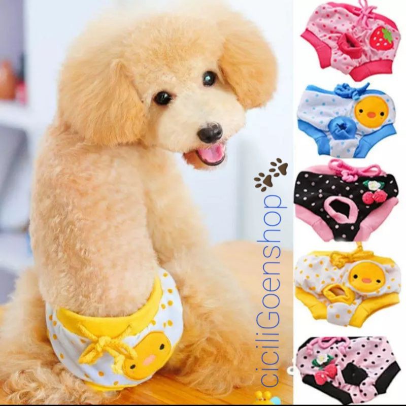 Celana dalam anjing kucing underwear pet loop pant panties import