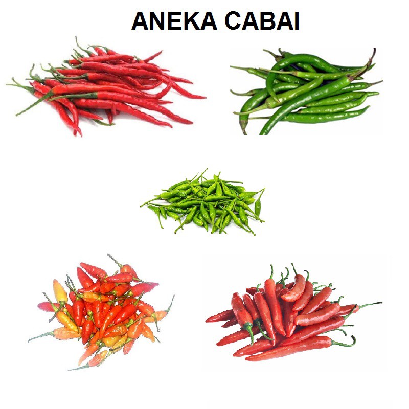 

Cabe MURAH Merah Besar 250gr - Cabai Hijau Gede - Rawit Ijo - Rawit Pedas - Cabe Kriting - Chili