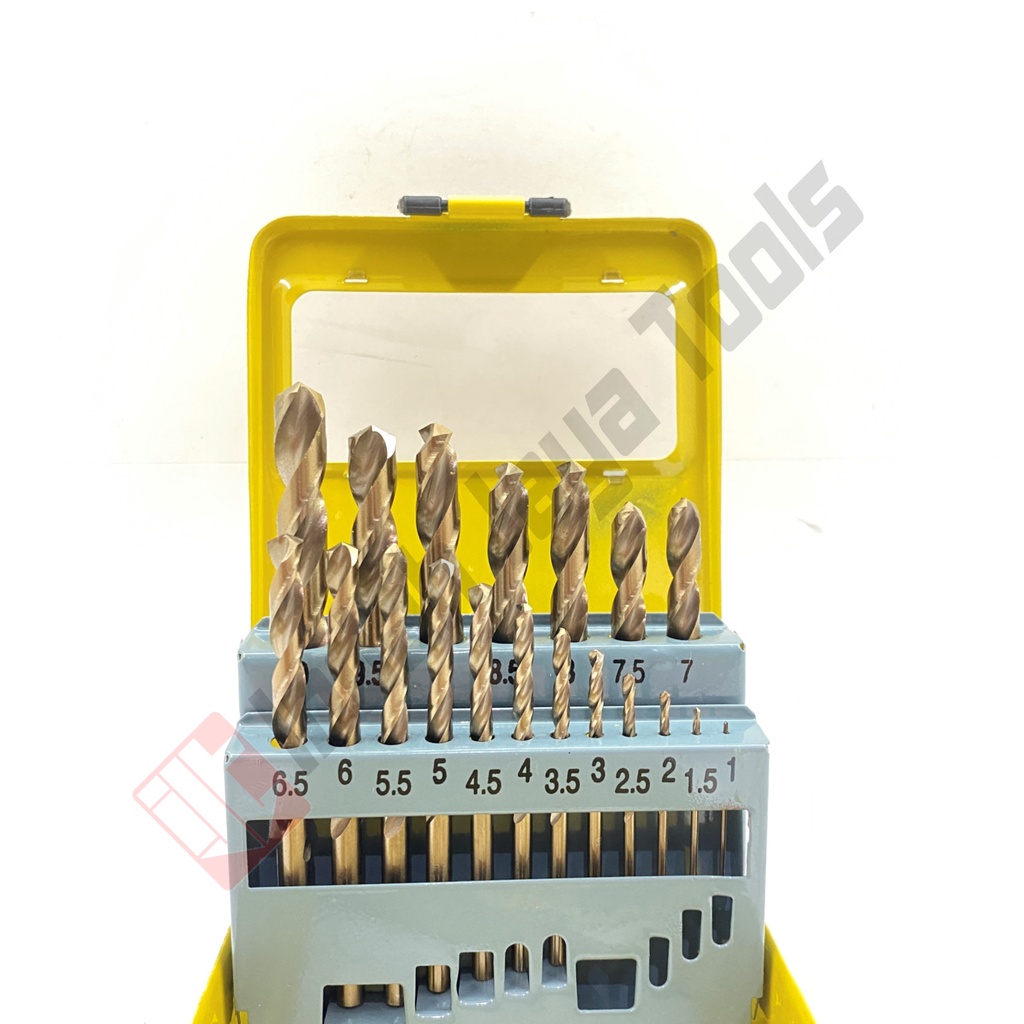 HASSTON 0501-003 Mata Bor Stainless Set 19 Pcs Cobalt HSS Besi Drill