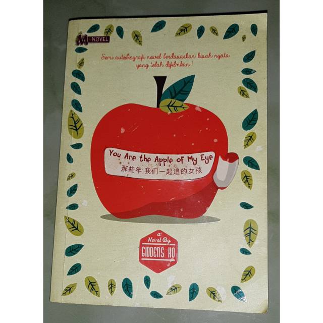 M-novel terjemahan " You Are the Apple of My Eye "