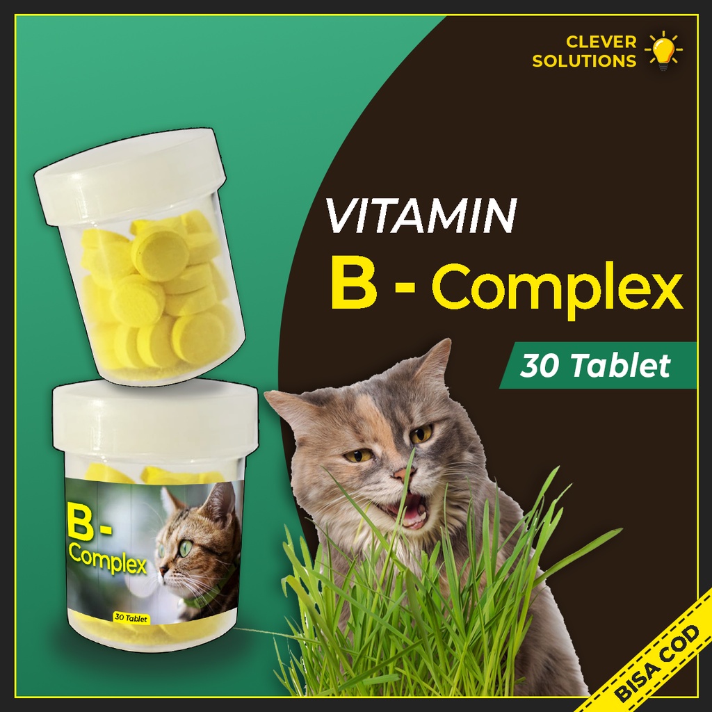 Vitamin Kucing B COMPLEX TABLET untuk Meningkatkan Imun Merawat Bulu Anti Rontok Bulu Kucing by Clever Solutions Olive Care Babah Cat House Penumbuh Bulu Kucing Koinami