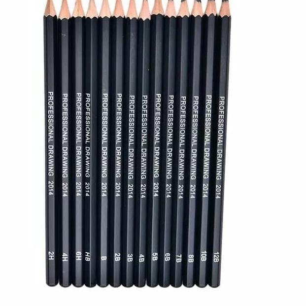 

Berkualitas! Set Pensil Sketsa Drawing Graphite Professional Pencils Charcoal 14pcs Pensil Menggambar Hobby !!