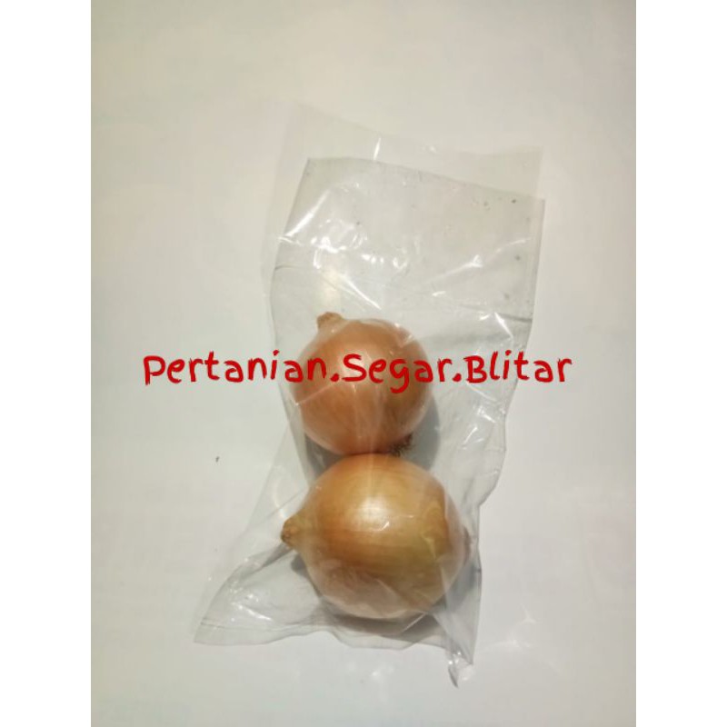 

[Pertanian Blitar] Bawang Bombay Bombai Bombe Besar Sayur Sayuran Fresh Packing Vakum