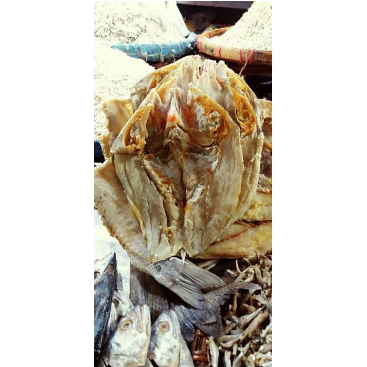 

Ikan Asin Kakap ( @ 250 Gr )