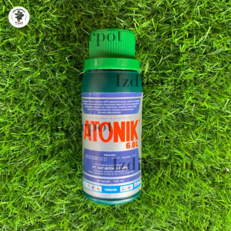 pupuk hormon zat pengatur tumbuh atonik 6.5L 100ml