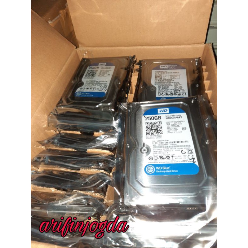 Harddisk HDD 250 GB SATA 3.5 INCH WD BLUE 1 TAHUN GARANSI