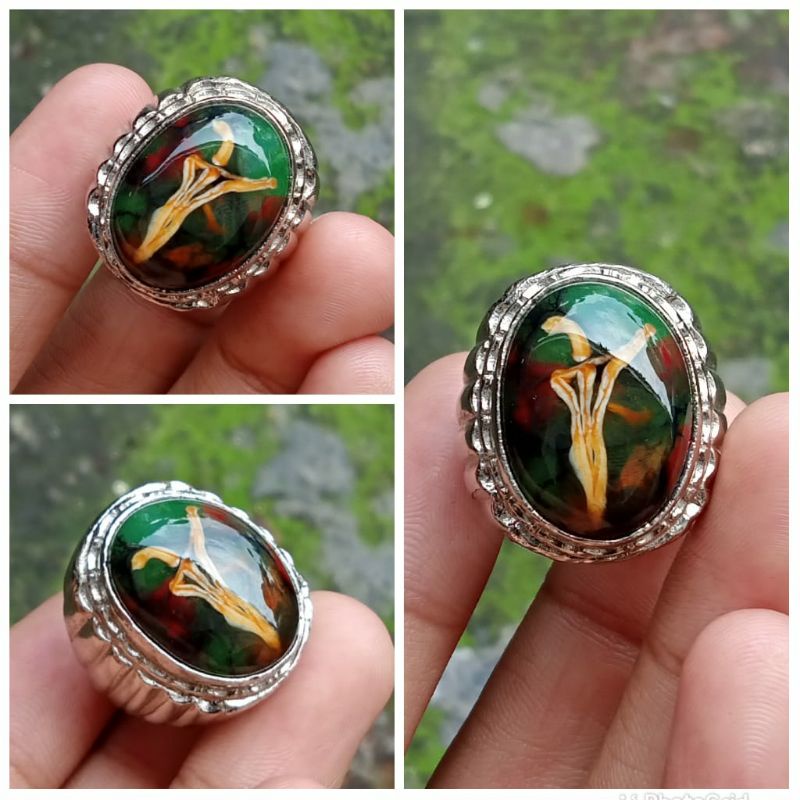 pancawarna tapak jalak kristal