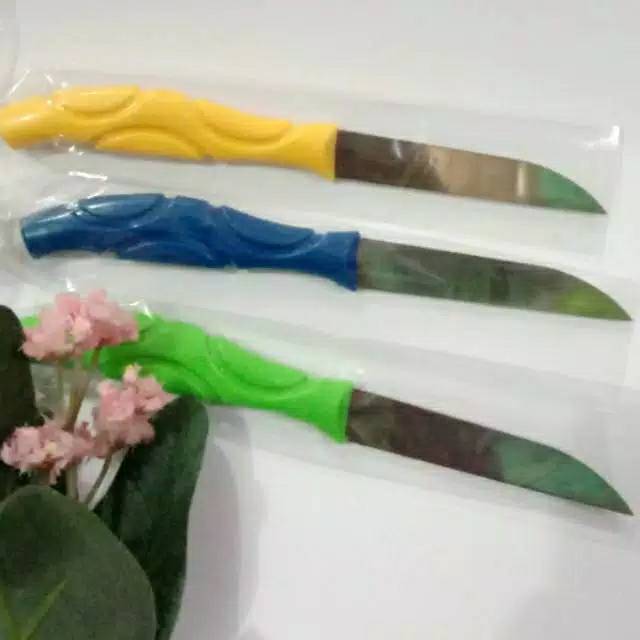 Pisau iris / pisau buah kecil /souvenir pisau iris