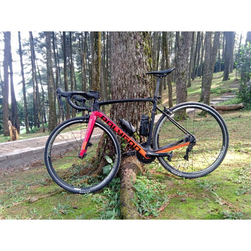 Polygon Strattos S7