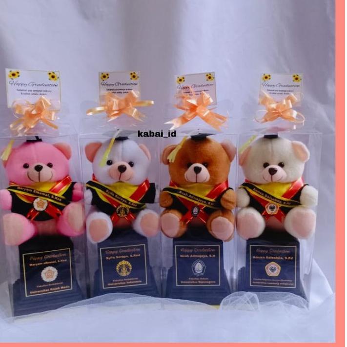 SALEE.. boneka piala wisuda BONEKA WISUDA SELEMPANG