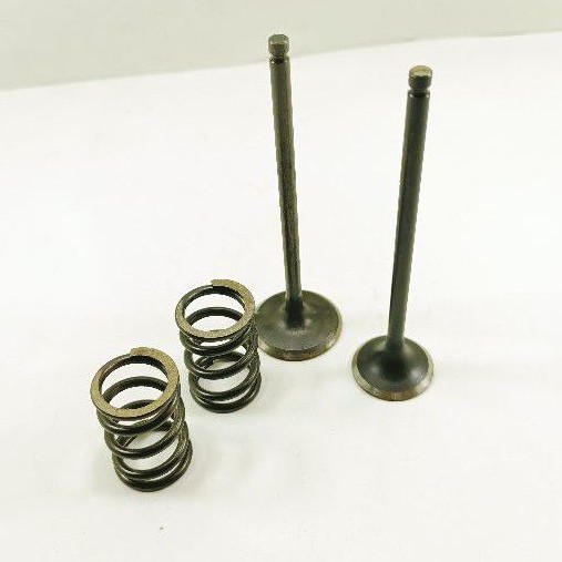 Valve Spring - Klep EE 31 26 Batang 5 Plus Per Klep Swedia Original