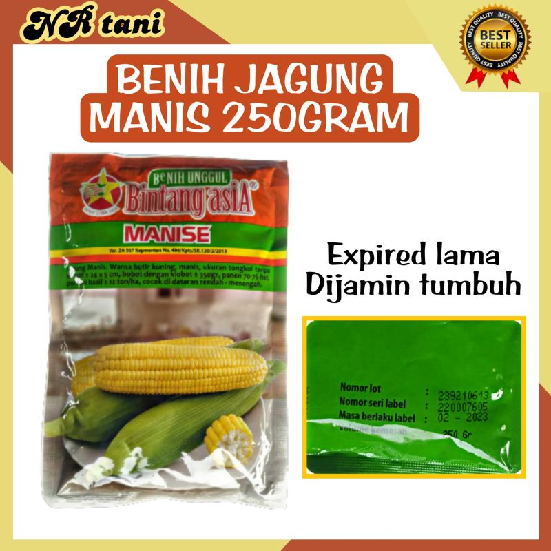 [jagung manis] Bibit Benih Jagung Manis Manise 250 Gram Kualitas Bagus/ JAGUNG MANIS/ BENIH JAGUNG M