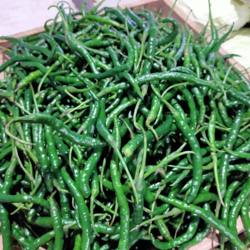 

KERITING HIJAU 250gr