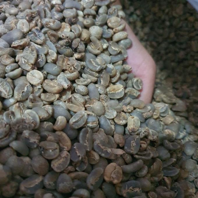 

Green Bean Arabika Gayo 1KG