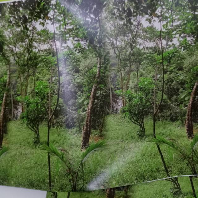 Bayar Nanti Stiker Camo Natural V1 100x50cm