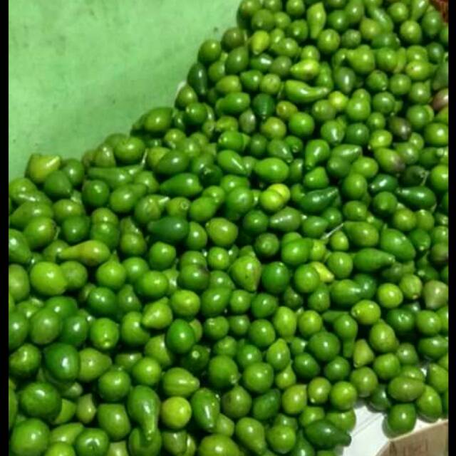 

Apukat mentega