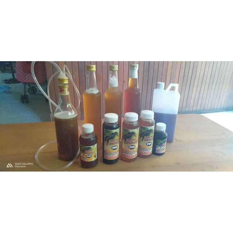 

madu kelulut hasil budidaya sendiri