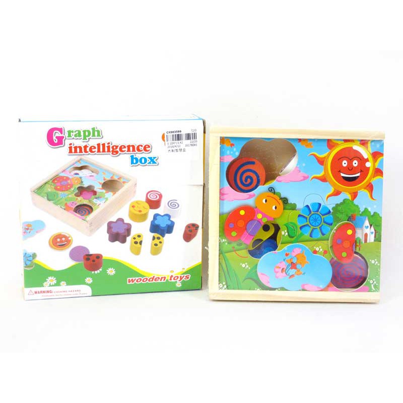 Graph Intelligence Box Wooden Toy - Mainan Puzzle Kayu Anak