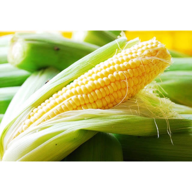

JAGUNG SUPER PILIHAN