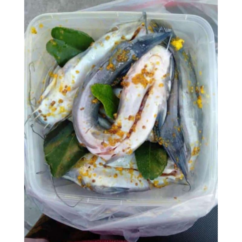 

lele bumbu tinggal masak