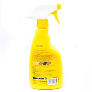 PLEDGE Spray Pump Pembersih Mebel Kayu Furniture PLEDGE Spray Pump Pembersih Mebel Kayu Furniture