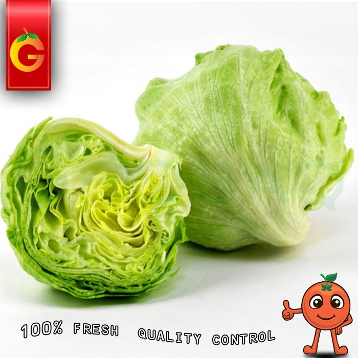 

SAYUR LETTUCE PER PCS