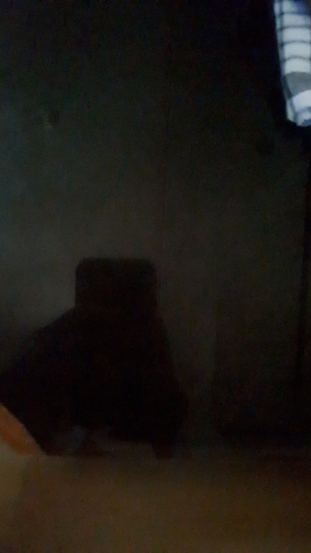 Lem Presto Dn Kayu Alifatik 600 Gram