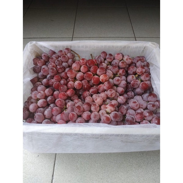 

Anggur RedGlobe (6 KG) Fresh Import